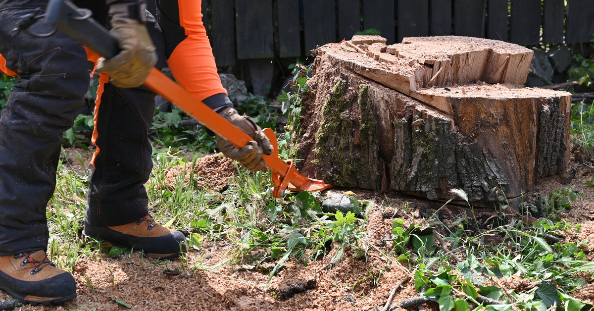 A close-up of a worker in an orange top with gloves and an orange stump removal tool, removing a tree stump.