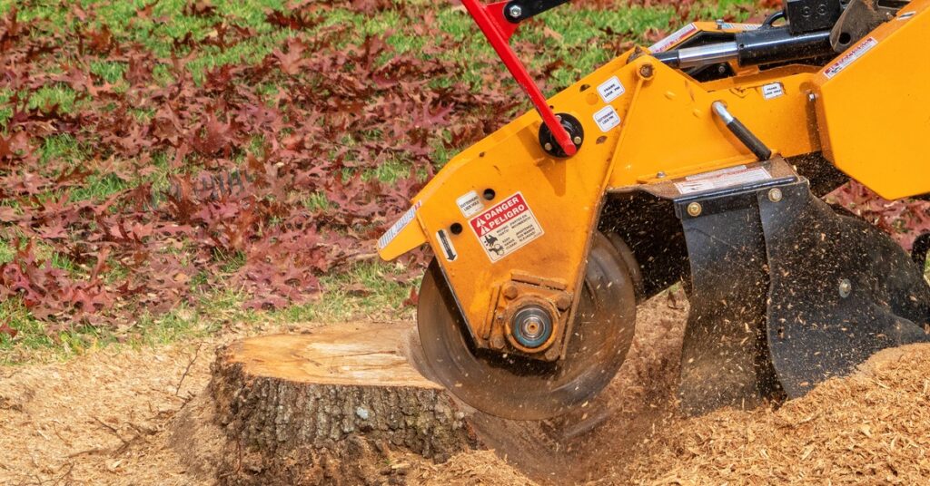A close-up of a yellow stump grinder grinding away at a tree stump and sending wood chips flying on a sunny day.