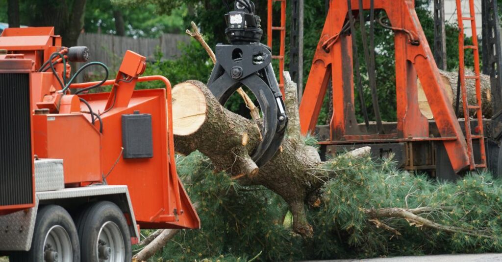 A crane holding a freshly-cut tree trunk next to a stump grinder with another trunk in the background.